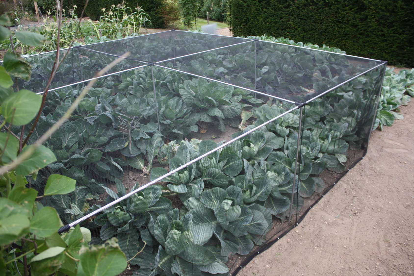 Slot & Lock® Aluminium Vegetable Cage (1.2m H) Harrod Horticultural (UK)