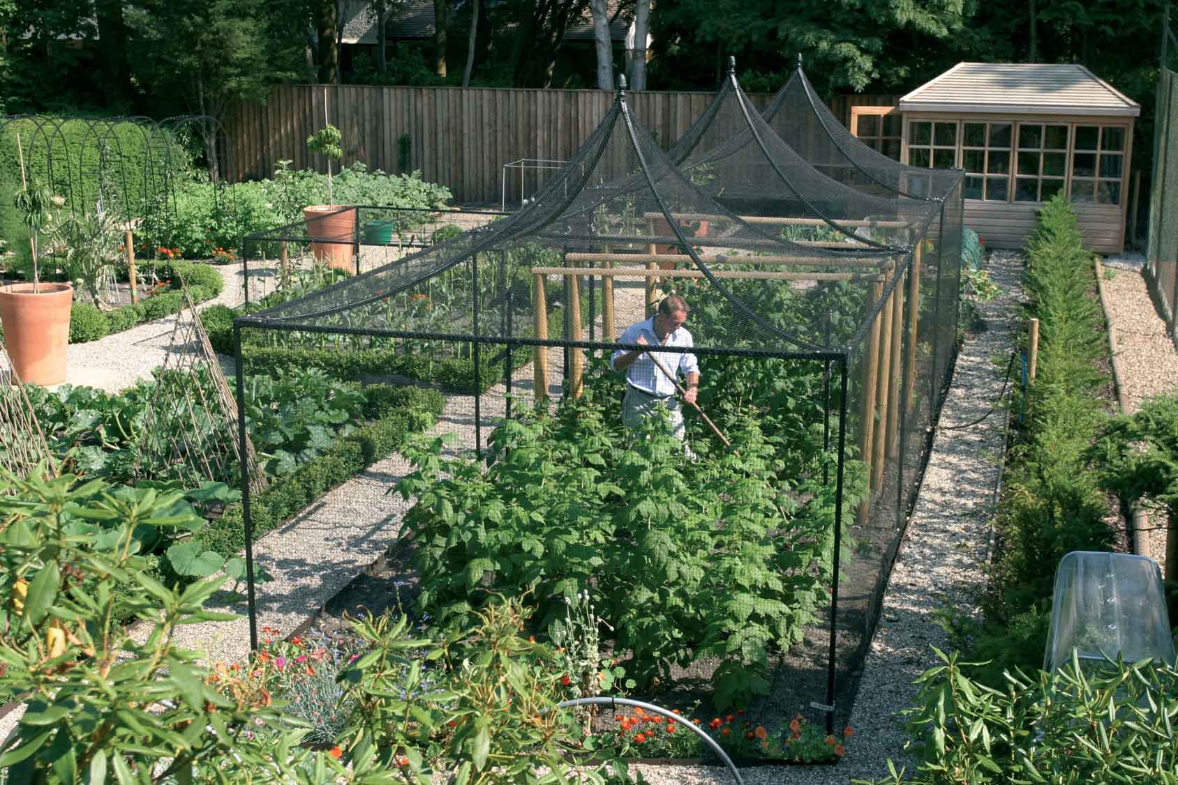 Peak Roof Heavy Duty Steel Decorative Fruit Cage Harrod Horticultural