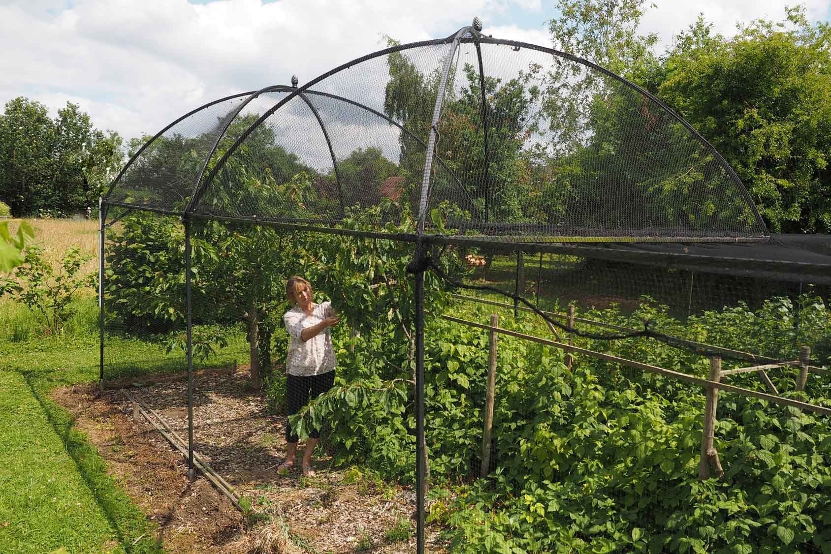 Dome Roof Fruit Cage Pineapple Finial Harrod Horticultural