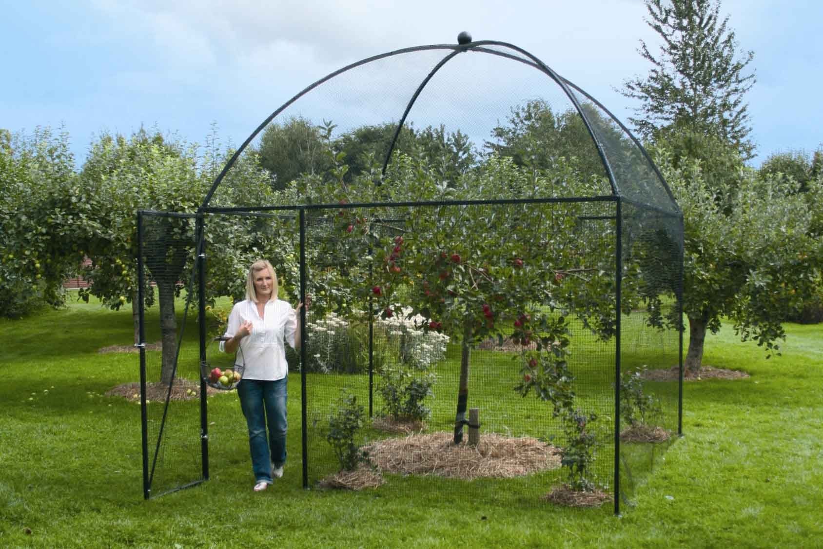 Dome Roof Heavy Duty Steel Decorative Fruit Cage Harrod Horticultural