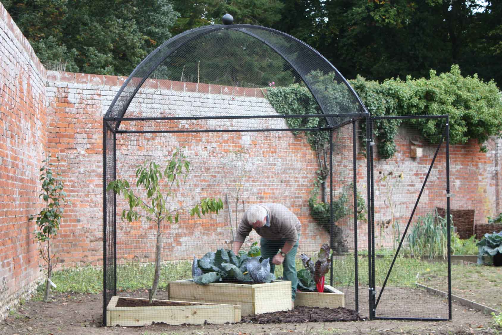 Dome Roof Heavy Duty Steel Decorative Fruit Cage Harrod Horticultural