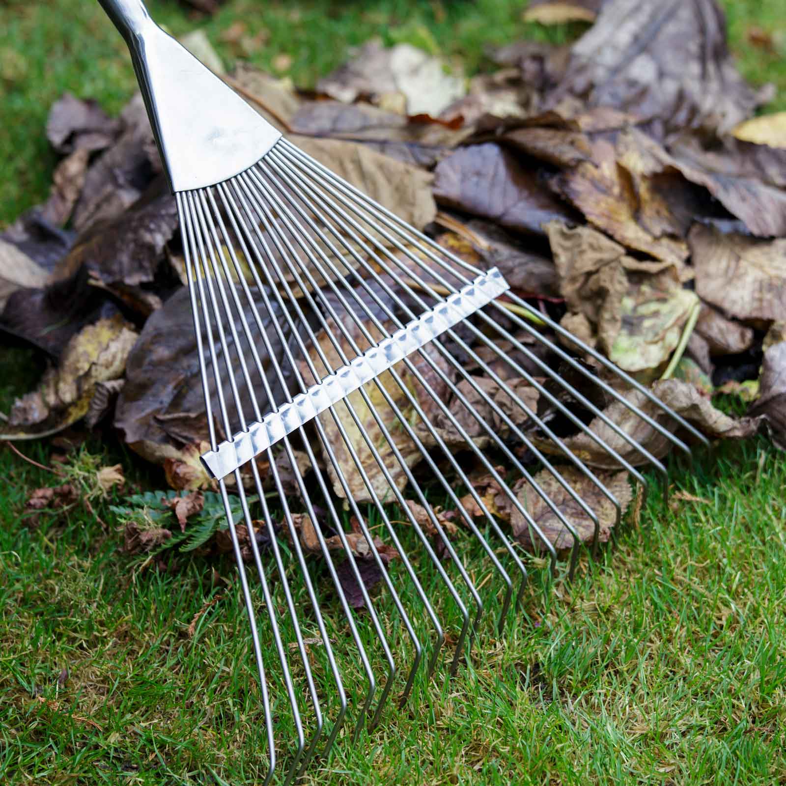 Grass rake clearance