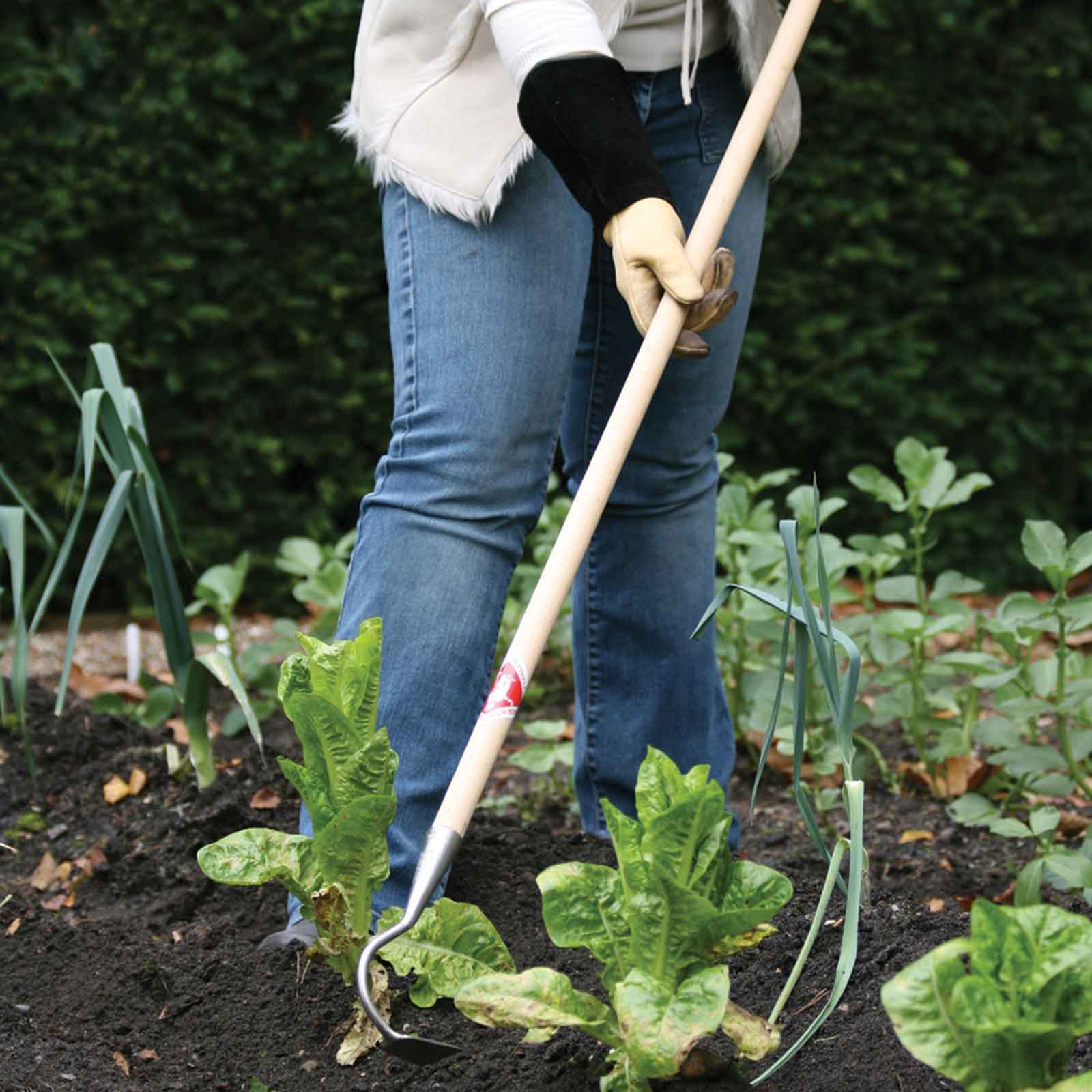 Onion hoe on sale long handle