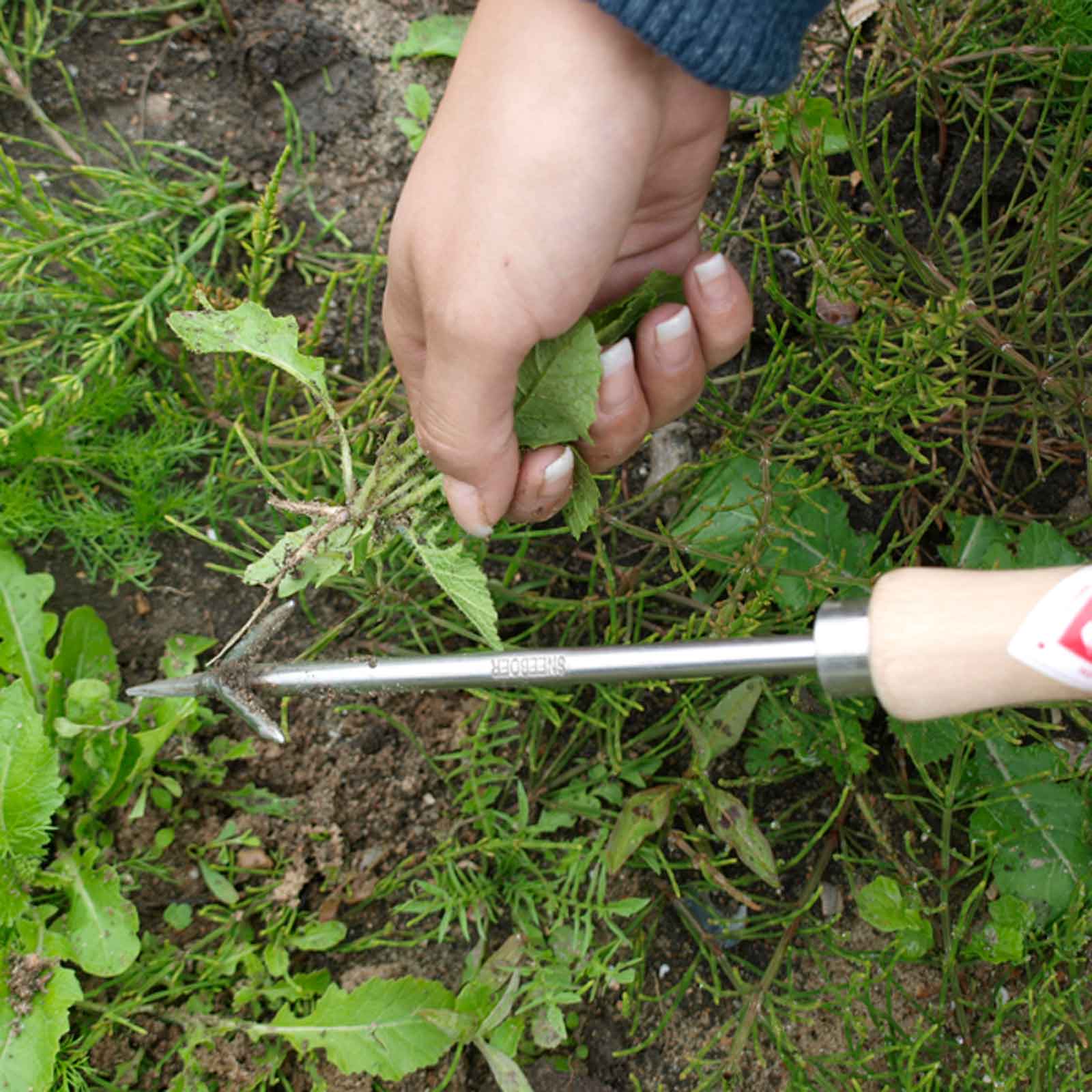 Wrotter Garden Weeder by Sneeboer