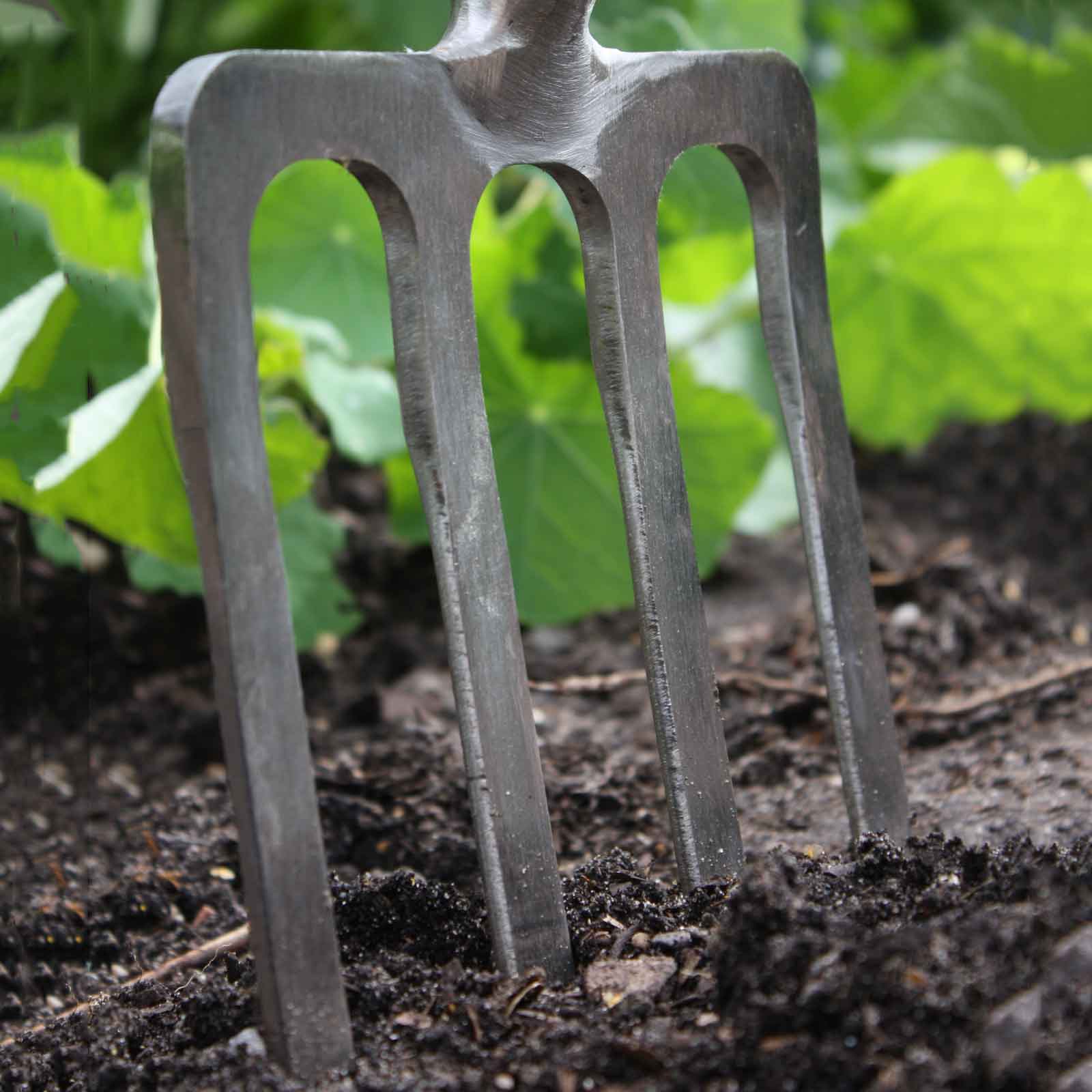 A garden store fork
