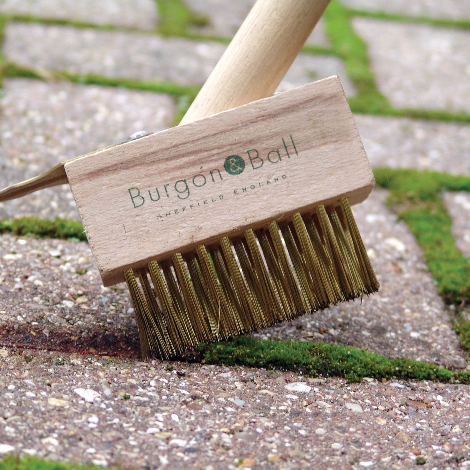 Long Handled Miracle Paving Brushes Harrod Horticultural (UK)