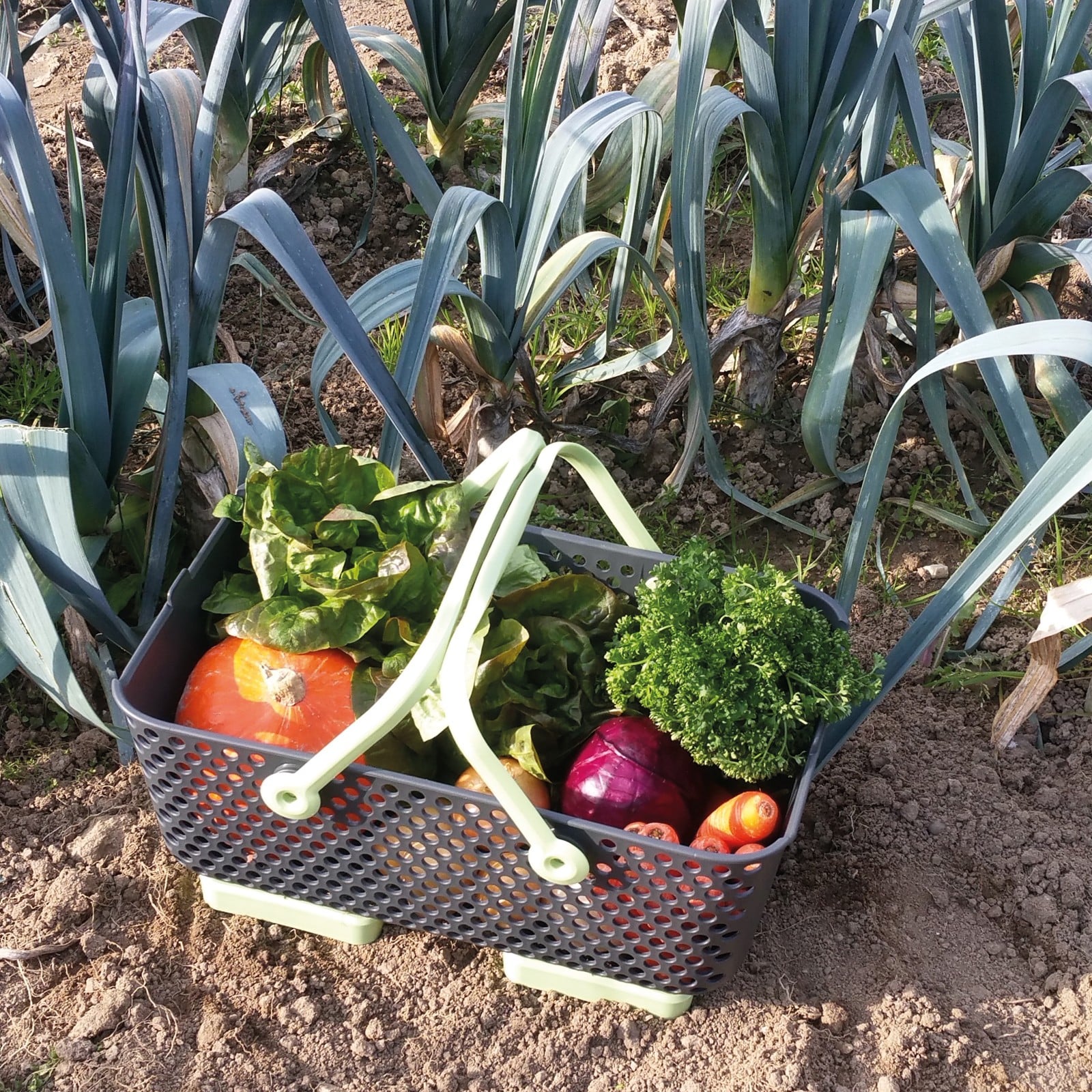 Garden Harvest Basket