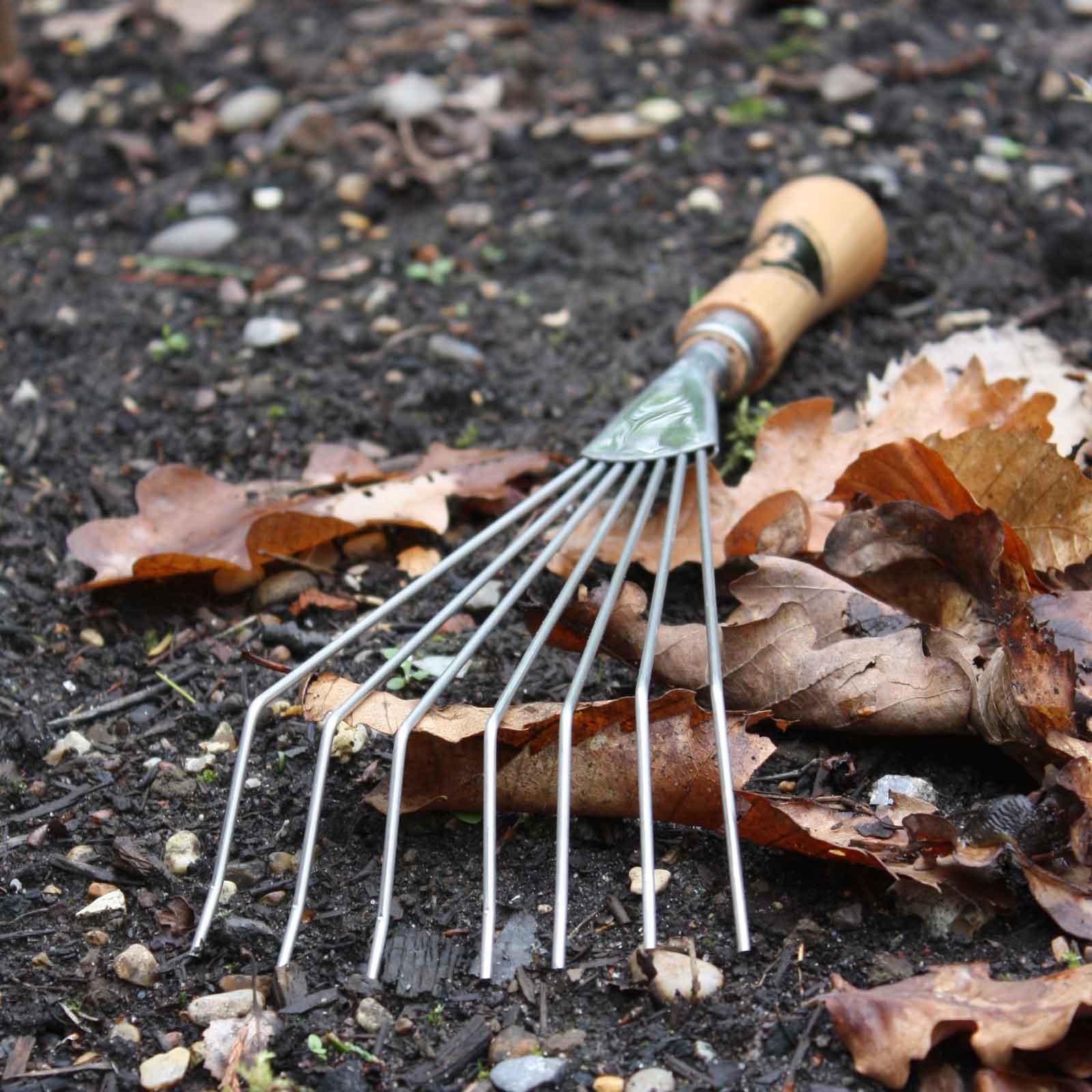 Hand Leaf Rake at Garden Equipment