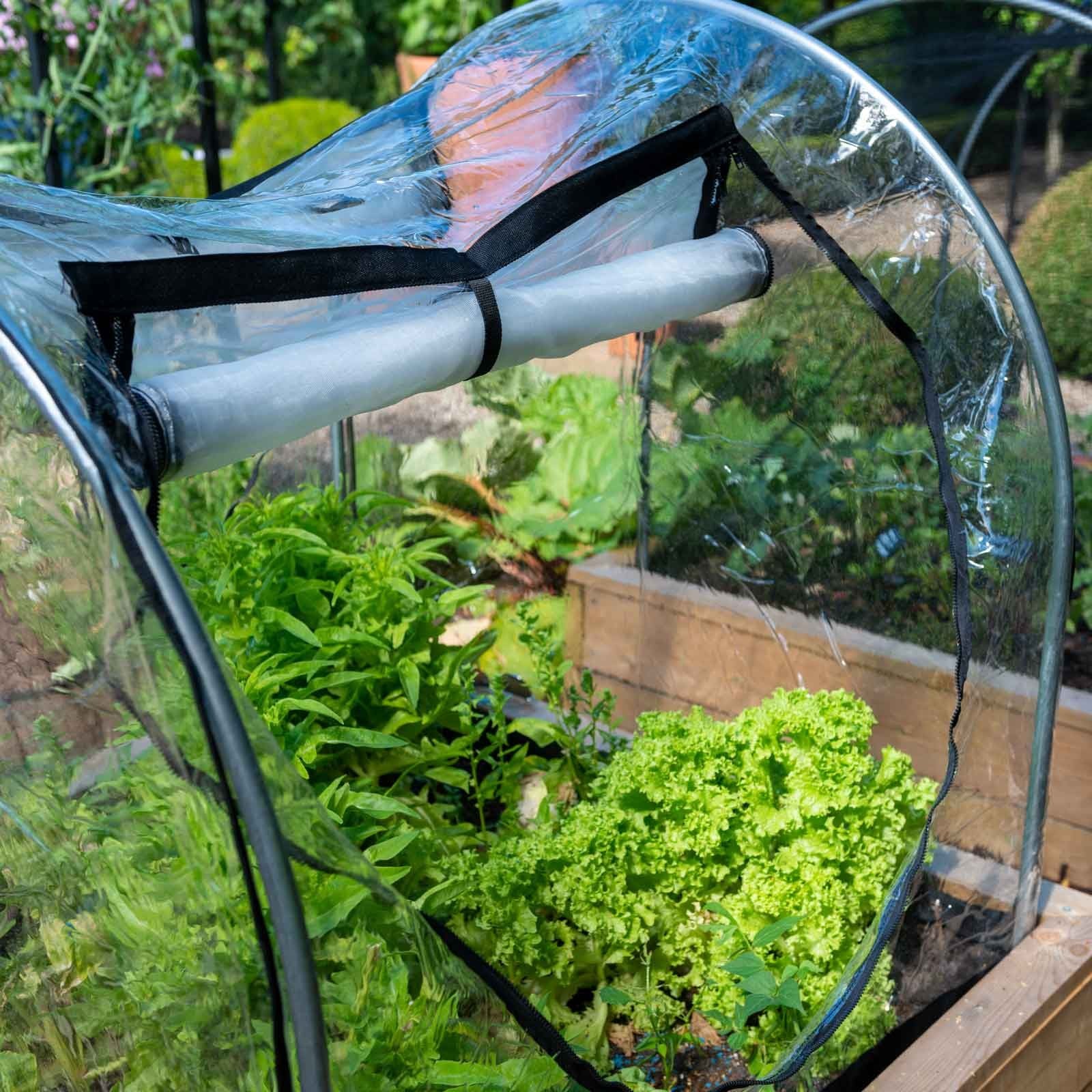 Insect Netting For Garden Bunnings Fasci Garden