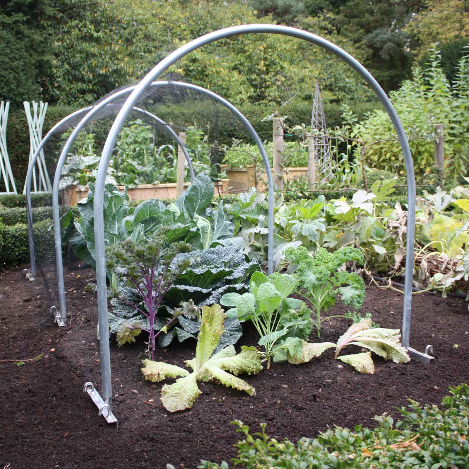 High Top Hoops Harrod Horticultural Uk