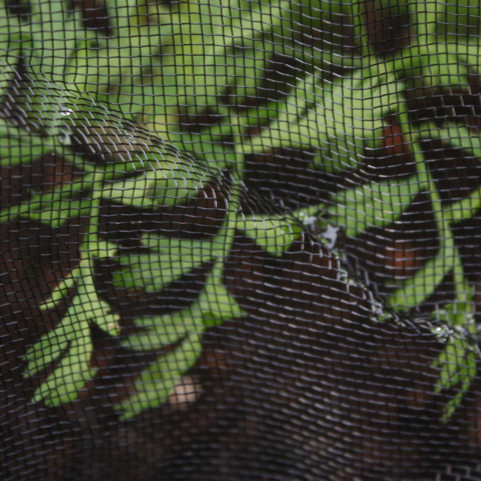Black Insect Mesh Netting