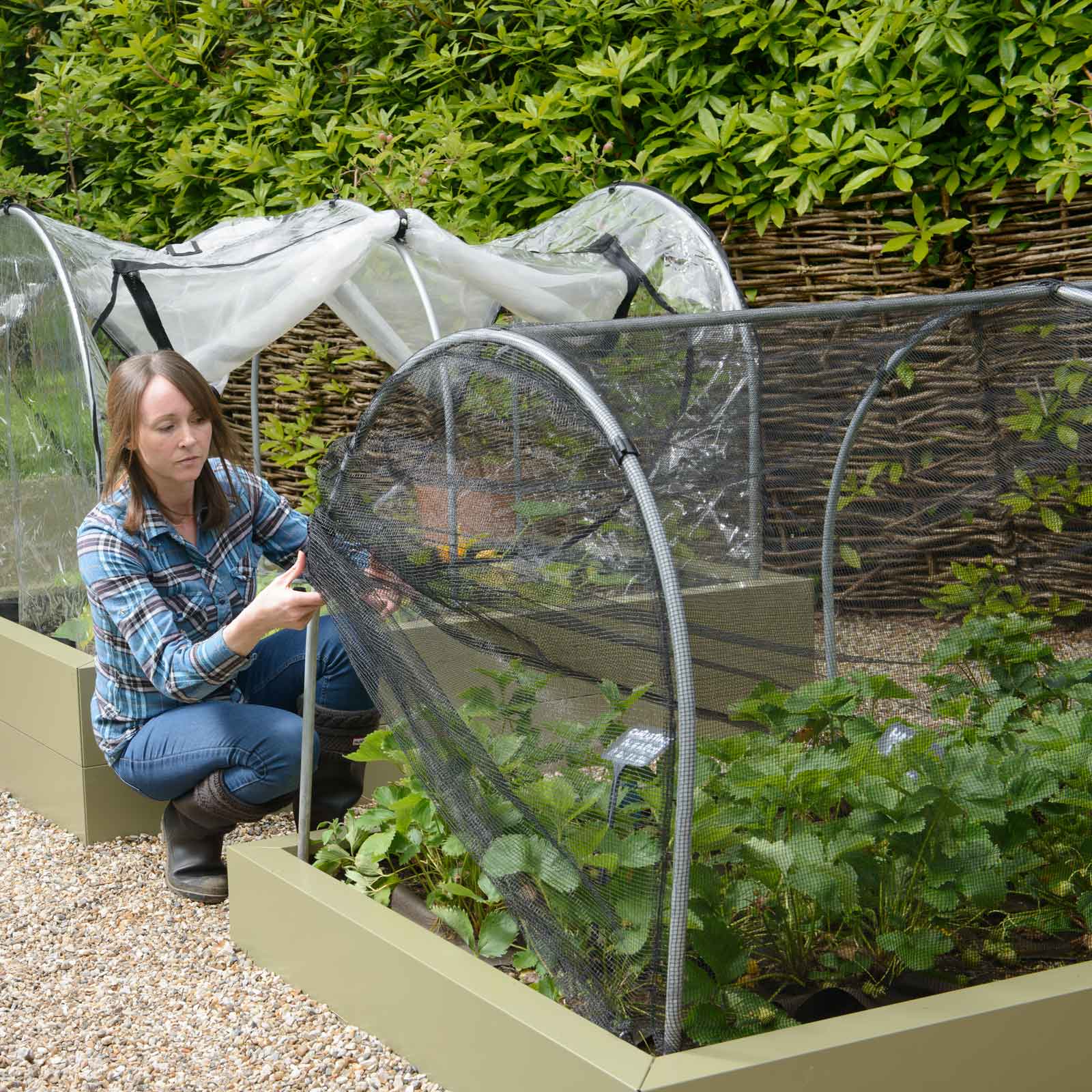 Hoops & Butterfly Net Cover for Superior Metal Beds Harrod Horticultural