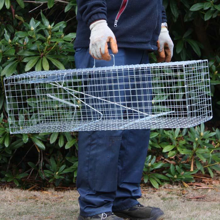 Humane Rabbit Trap Harrod Horticultural (UK)