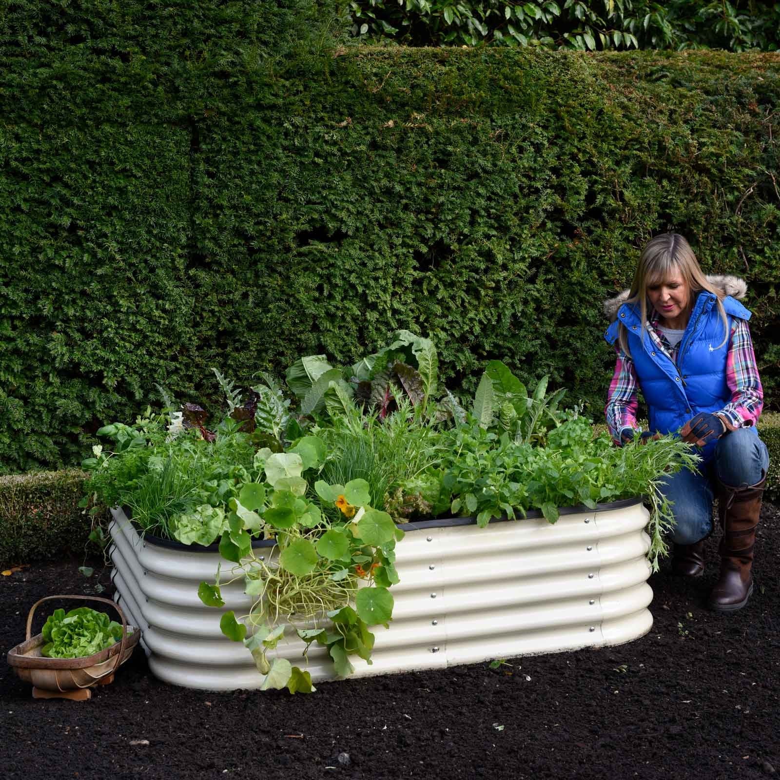 Corrugated Metal Raised Garden Beds Uk Fasci Garden