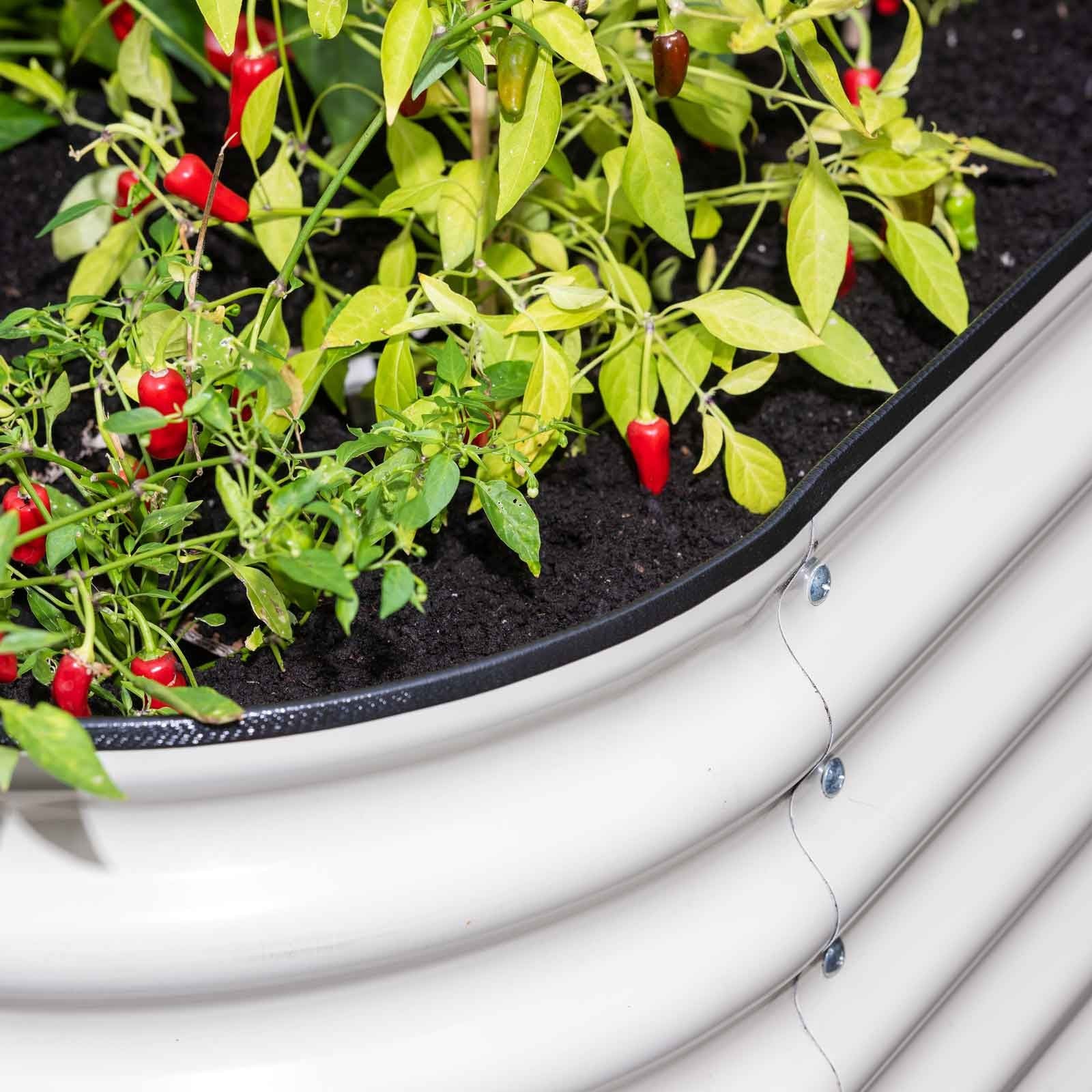 Modular Steel Raised Bed Harrod Horticultural