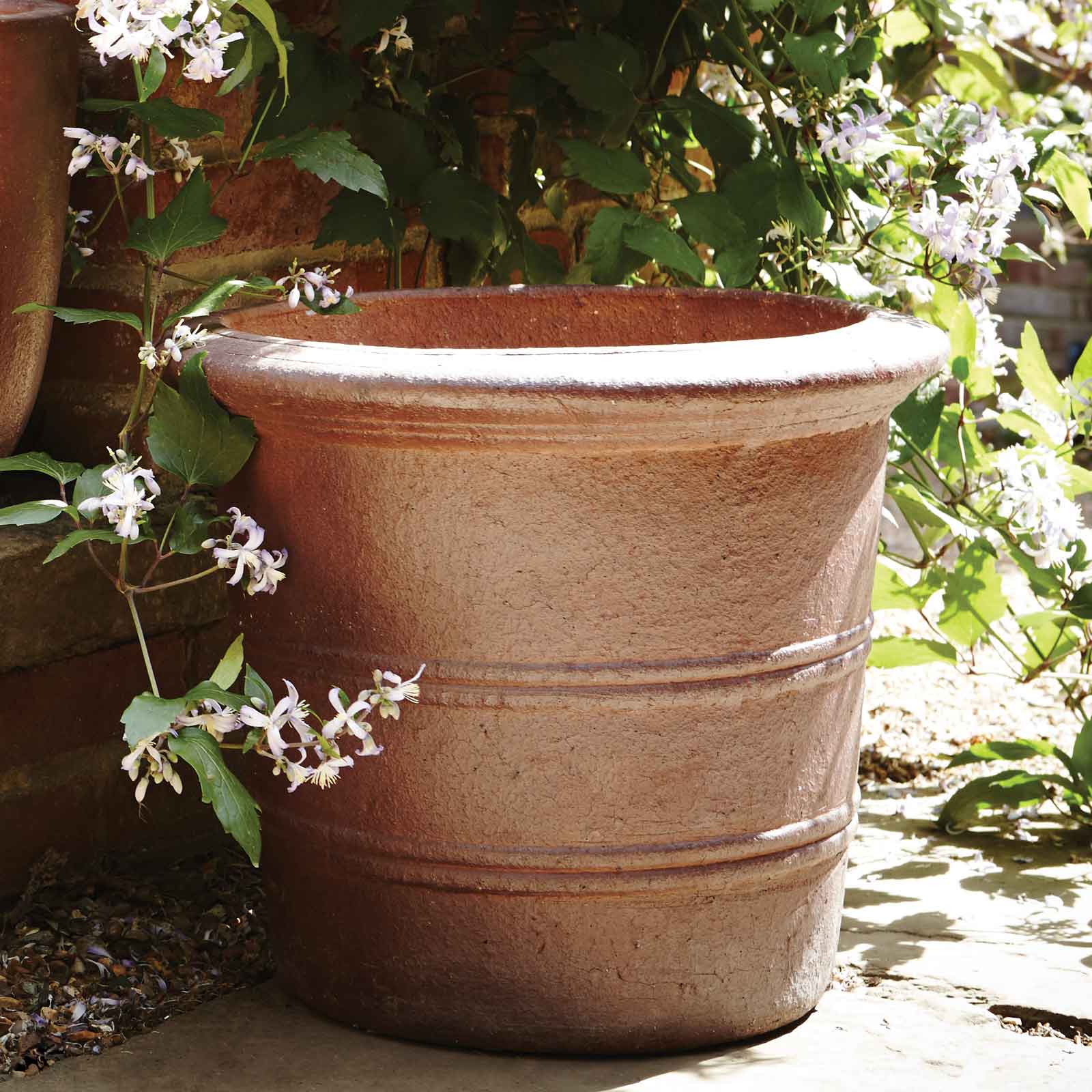 Florentine Terracini Pots - Harrod Horticultural