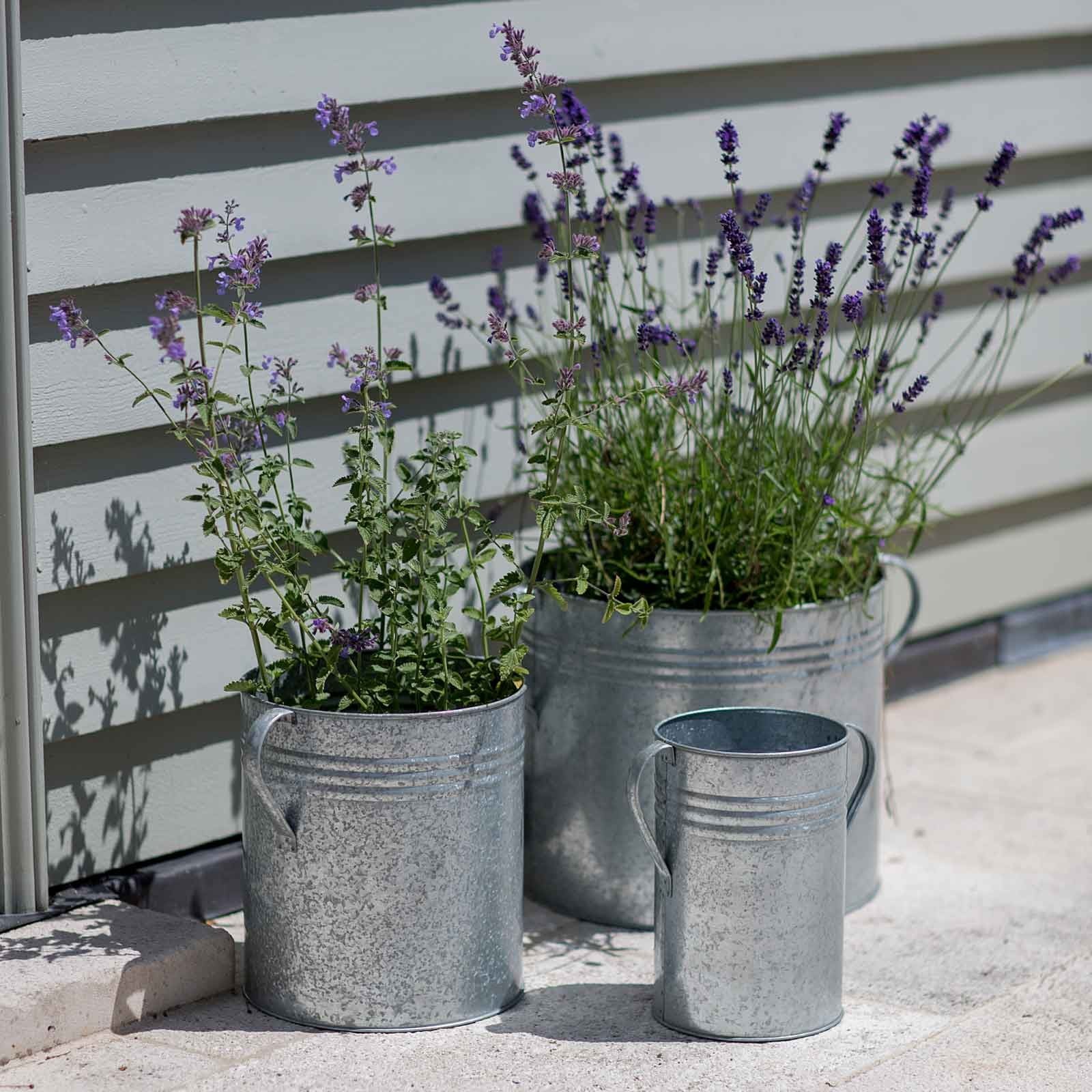 Galvanised Planters Set of 3