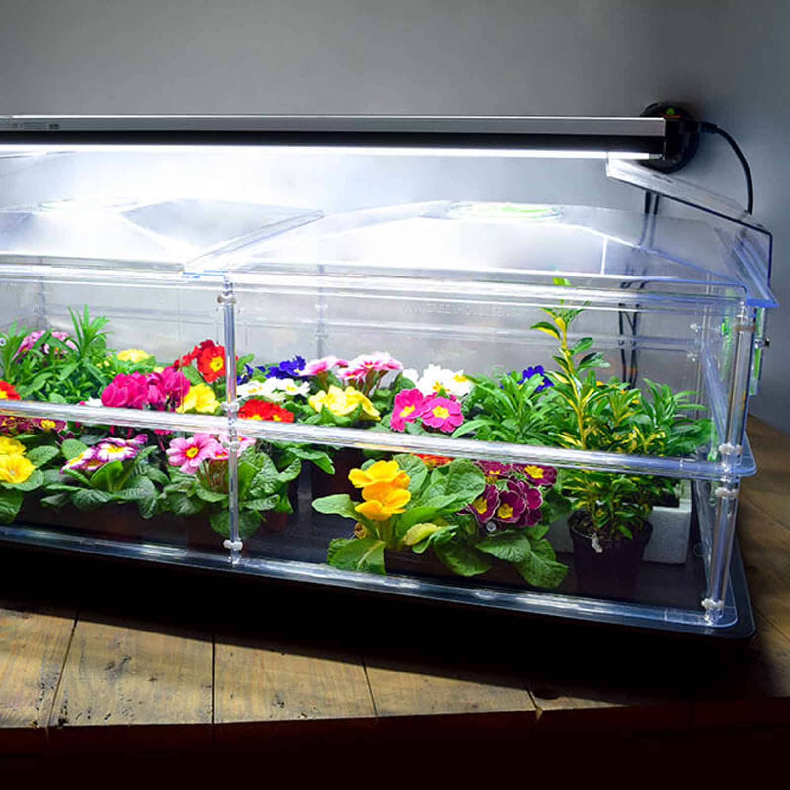 Best propagator with on sale lights
