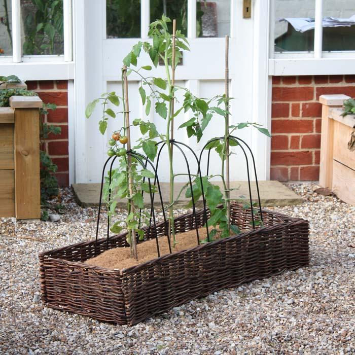 Grow Bag Cane Frames and Willow Surround Harrod Horticultural (UK)