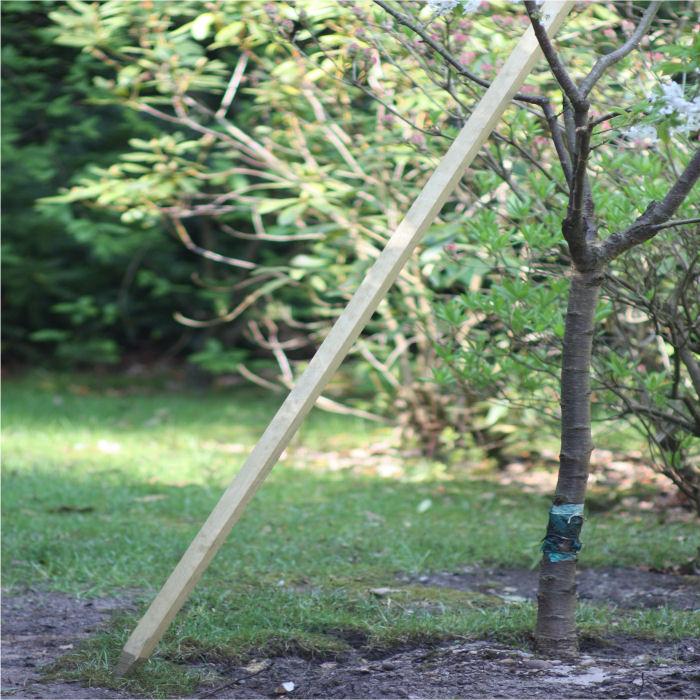 Redwood Plant/Tree Stakes 25mm sq x 1.2m Long 5 Pack Harrod Horticultural