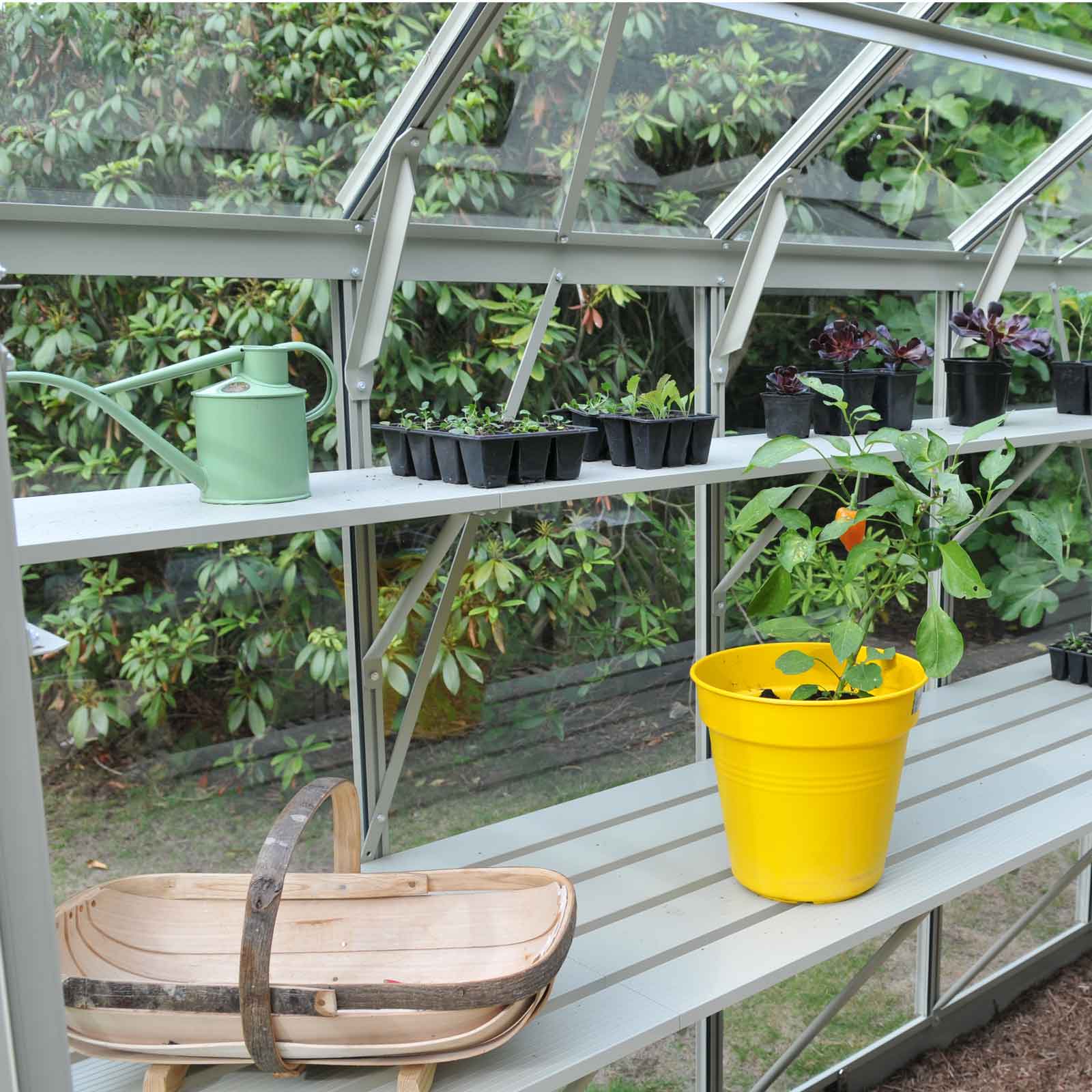 Integral Greenhouse Staging Olive Green, Greenhouse Shelving Ideas