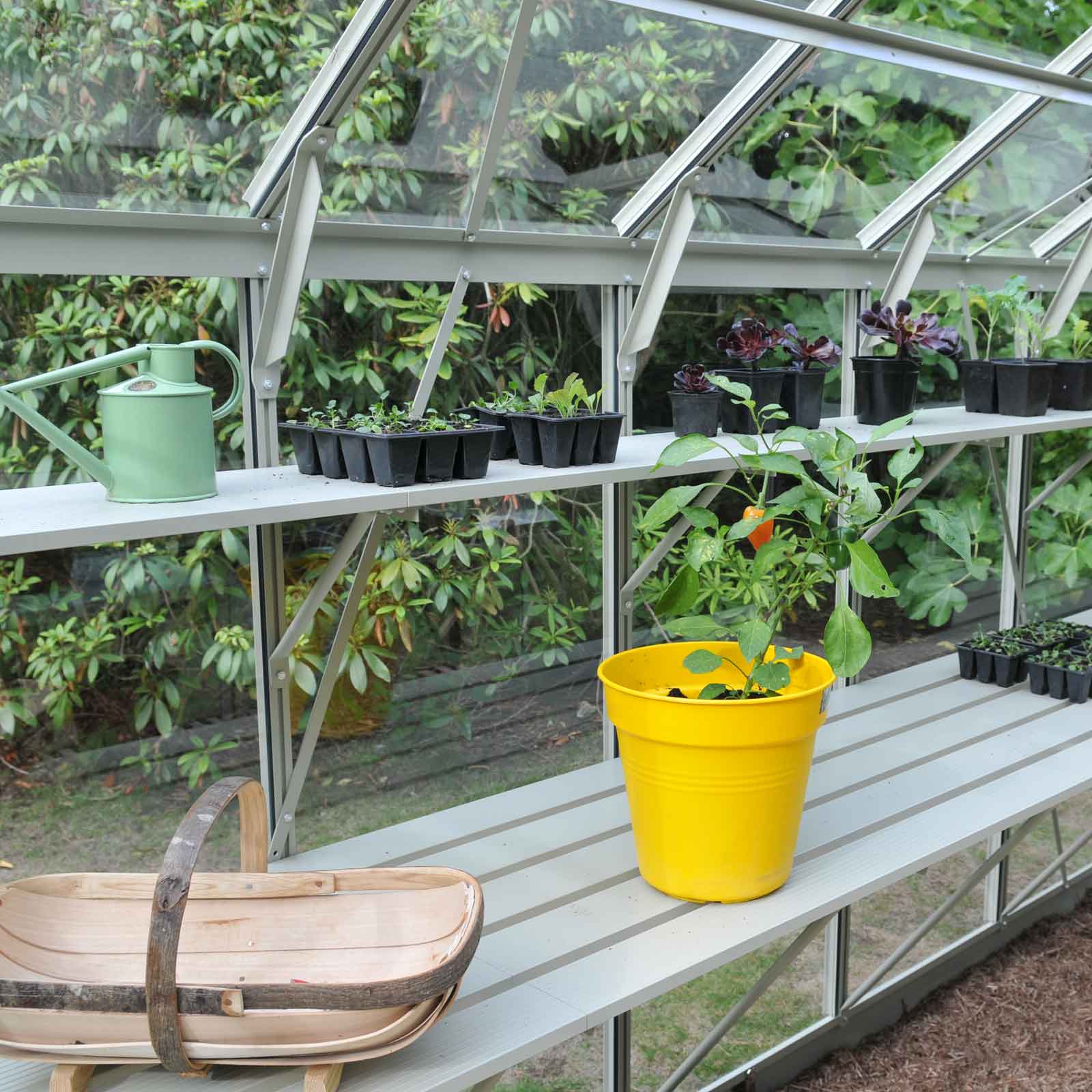 Integral Greenhouse Staging Antique Ivory Harrod Horticultural