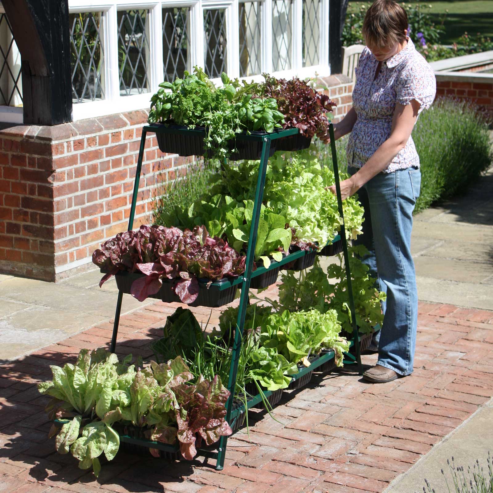 PatioGro Multi-Level Growing frame including trays and labels