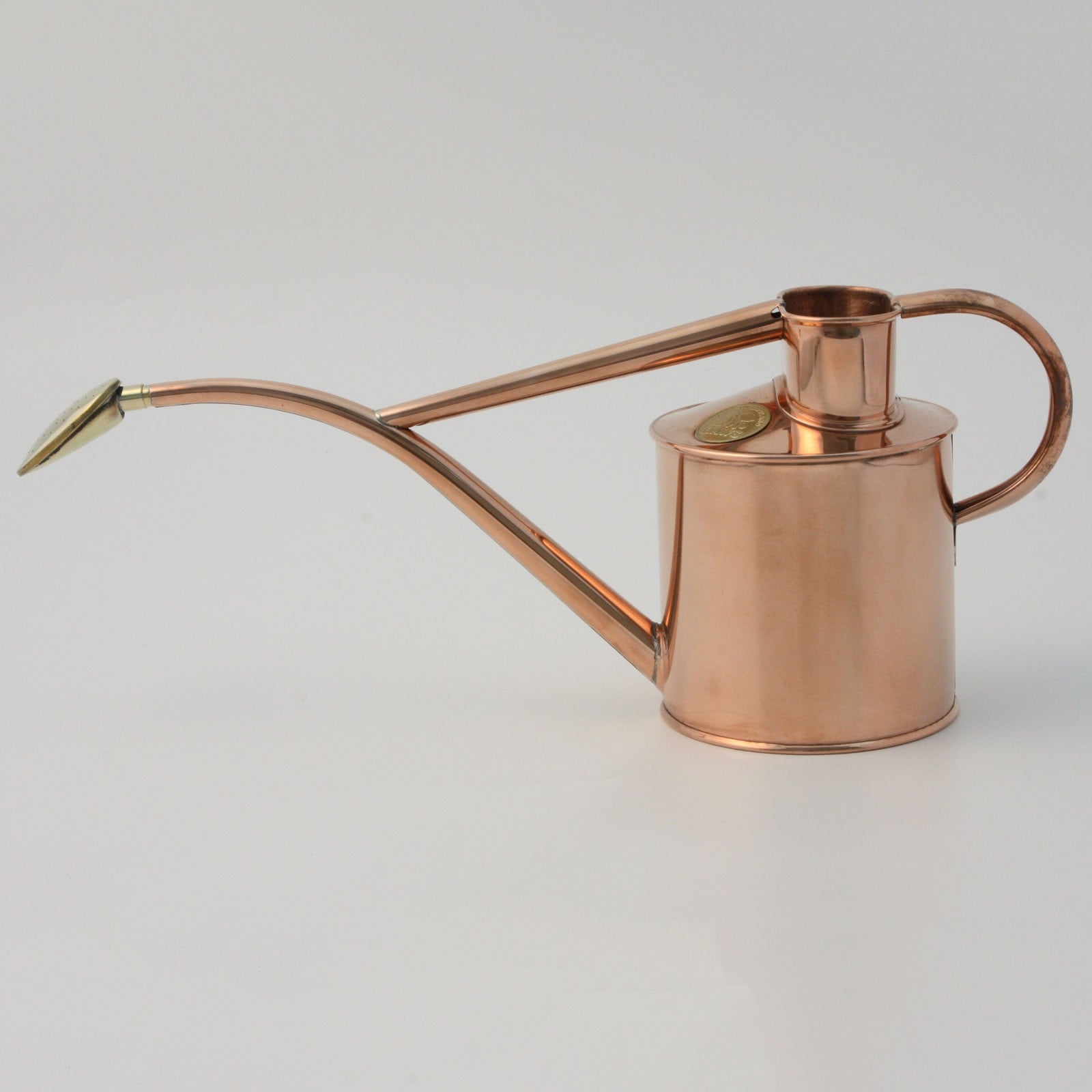 Watering Can Indoor, Long Spout Watering Can For Outdoor And Indoor