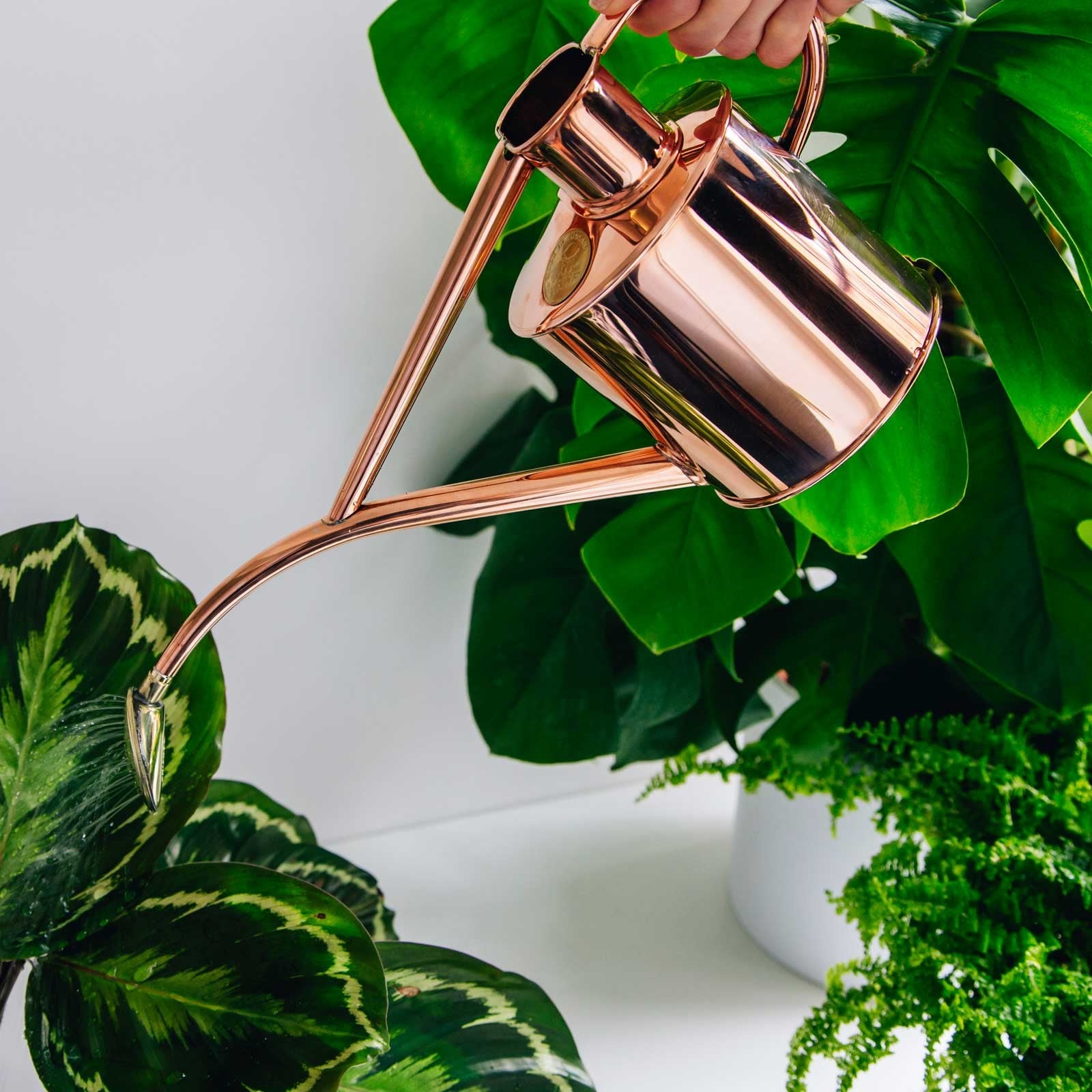 Haws Copper Indoor and Seedling Watering Can Harrod Horticultural (UK)