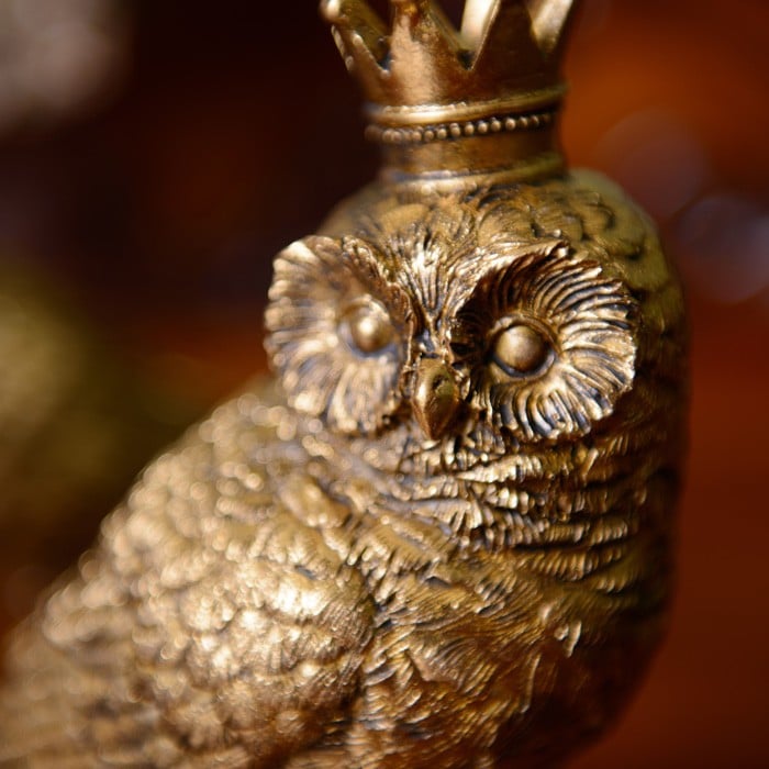 Gold Resin Owl Decorations by Gisela Graham Harrod Horticultural