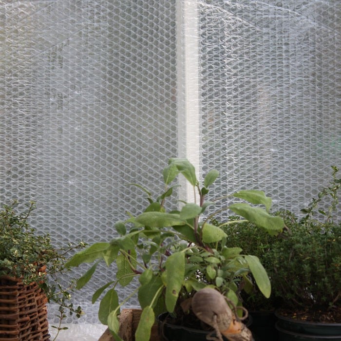 Bubblewrap Insulation for Greenhouses by Harrod Horticultural