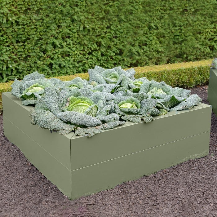 Metal Raised Beds Heritage Green Harrod Horticultural