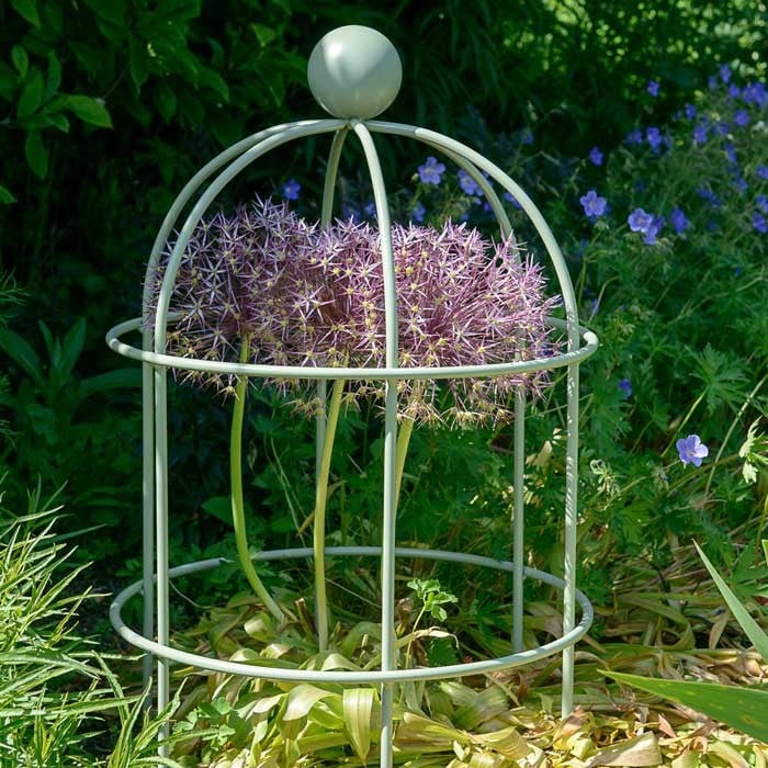 Lobster Pot Plant Supports Lichen Green Harrod