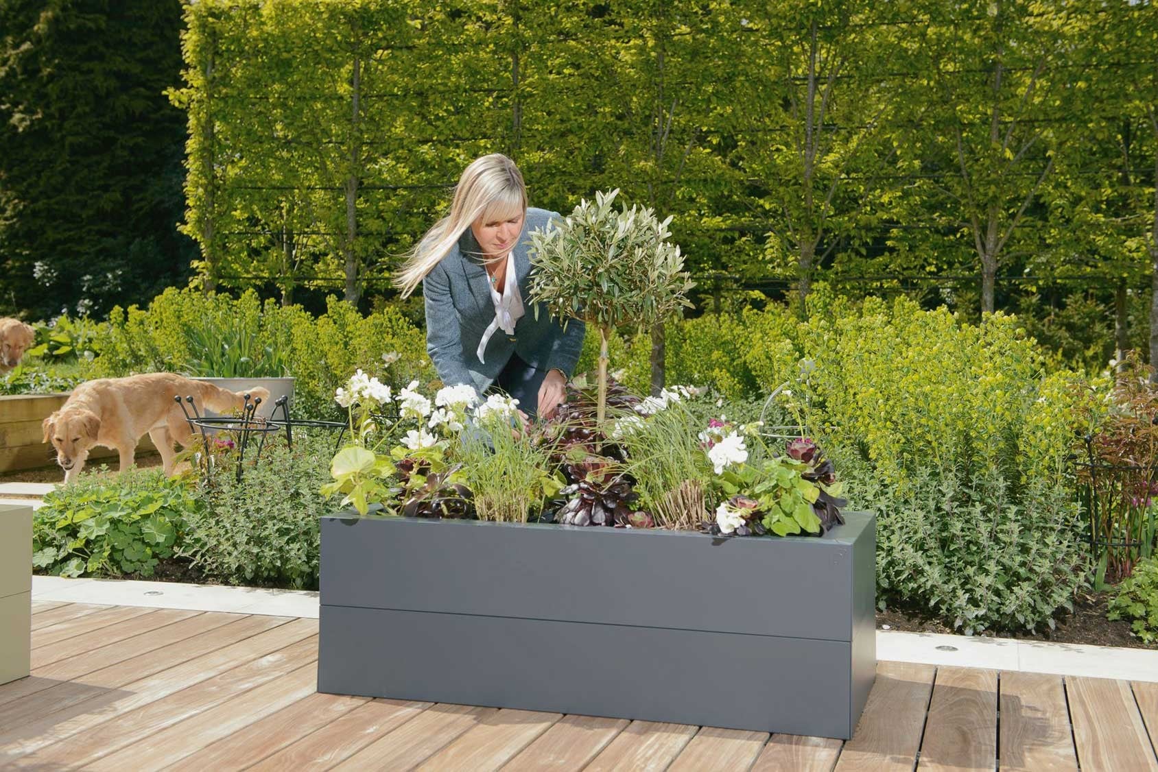 Harrod Metal Raised Beds Harrod Horticultural