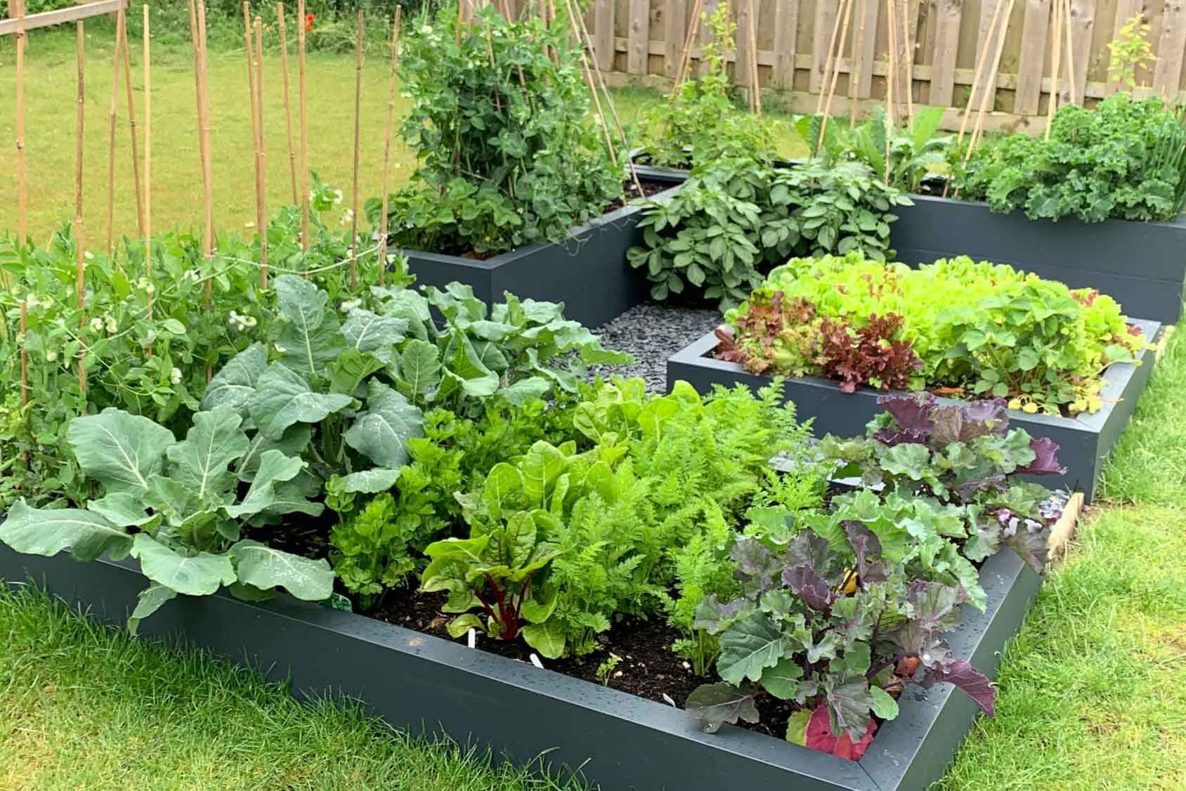 Harrod Metal Raised Beds Harrod Horticultural