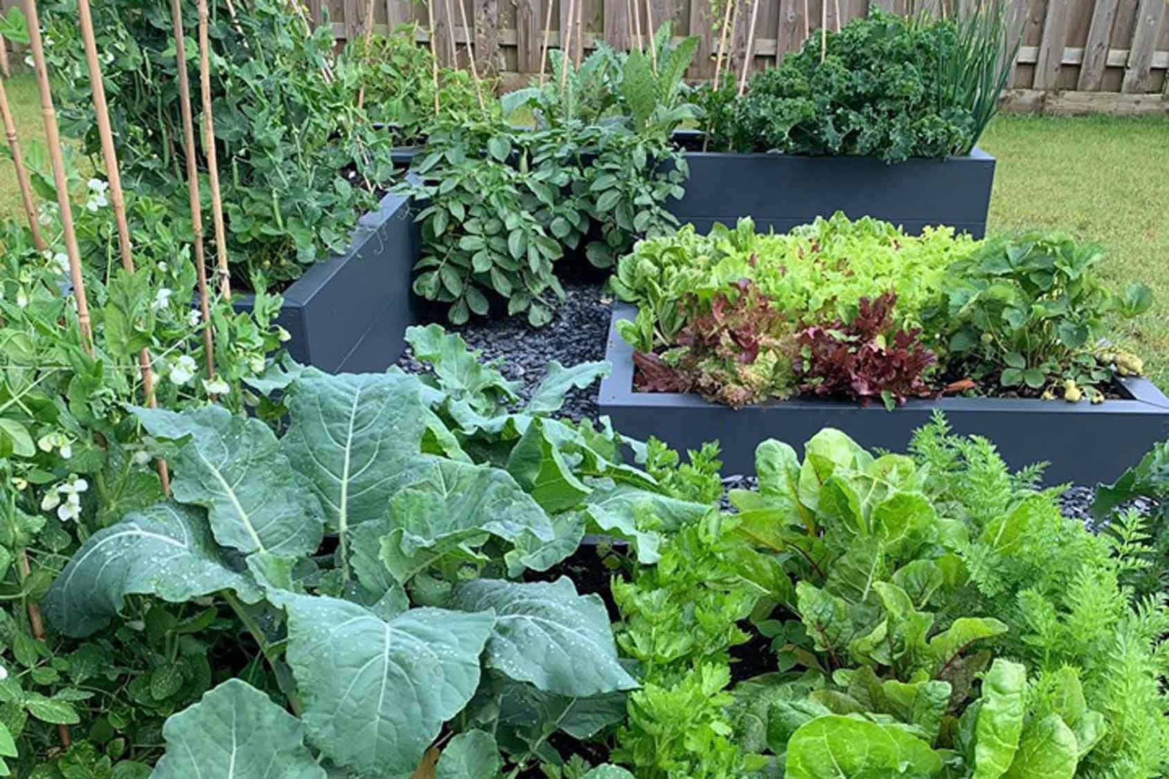 Harrod Metal Raised Beds Harrod Horticultural