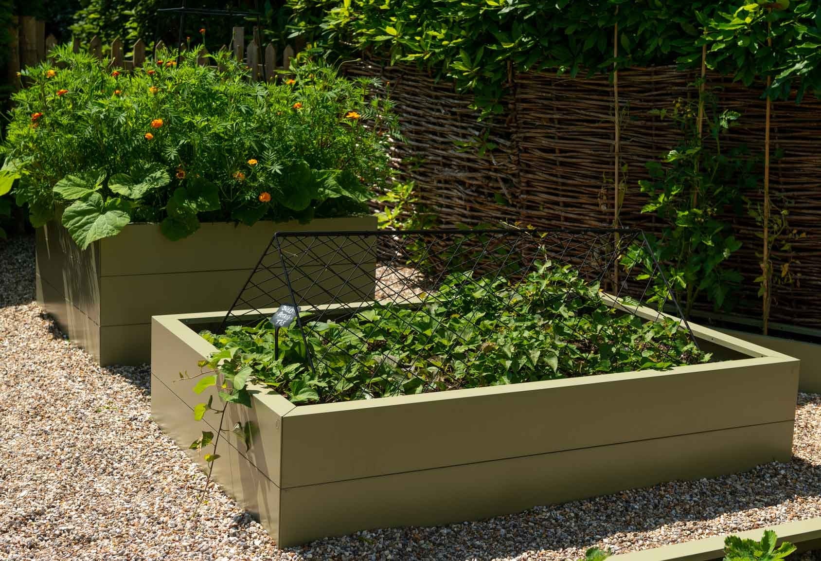 View Metal Raised Garden Beds Background