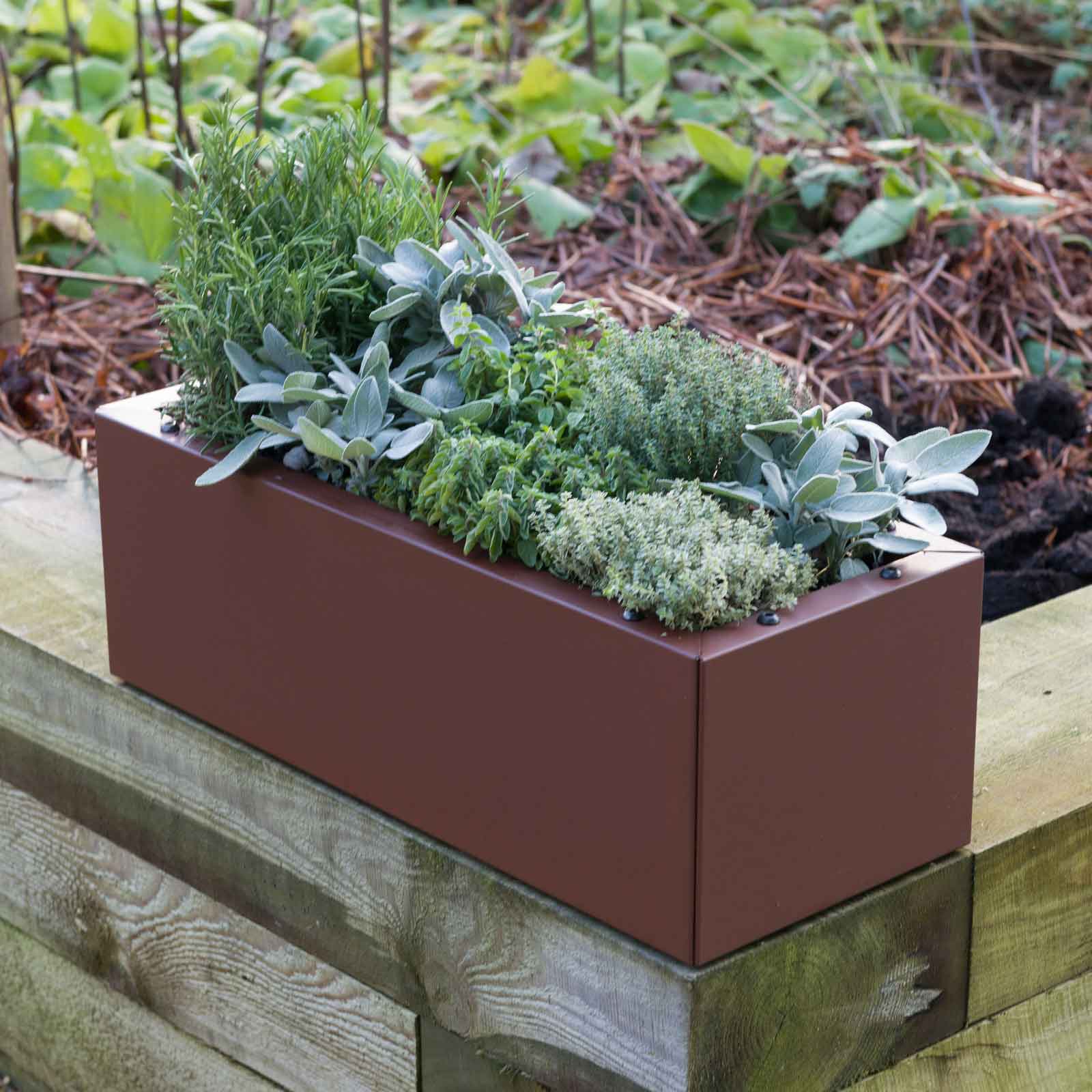 Metal Trough Planters Corten Effect Harrod Horticultural