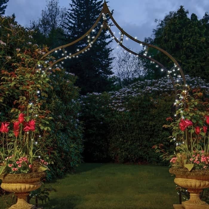 Ogee Garden Arch - Harrod Horticultural (UK)