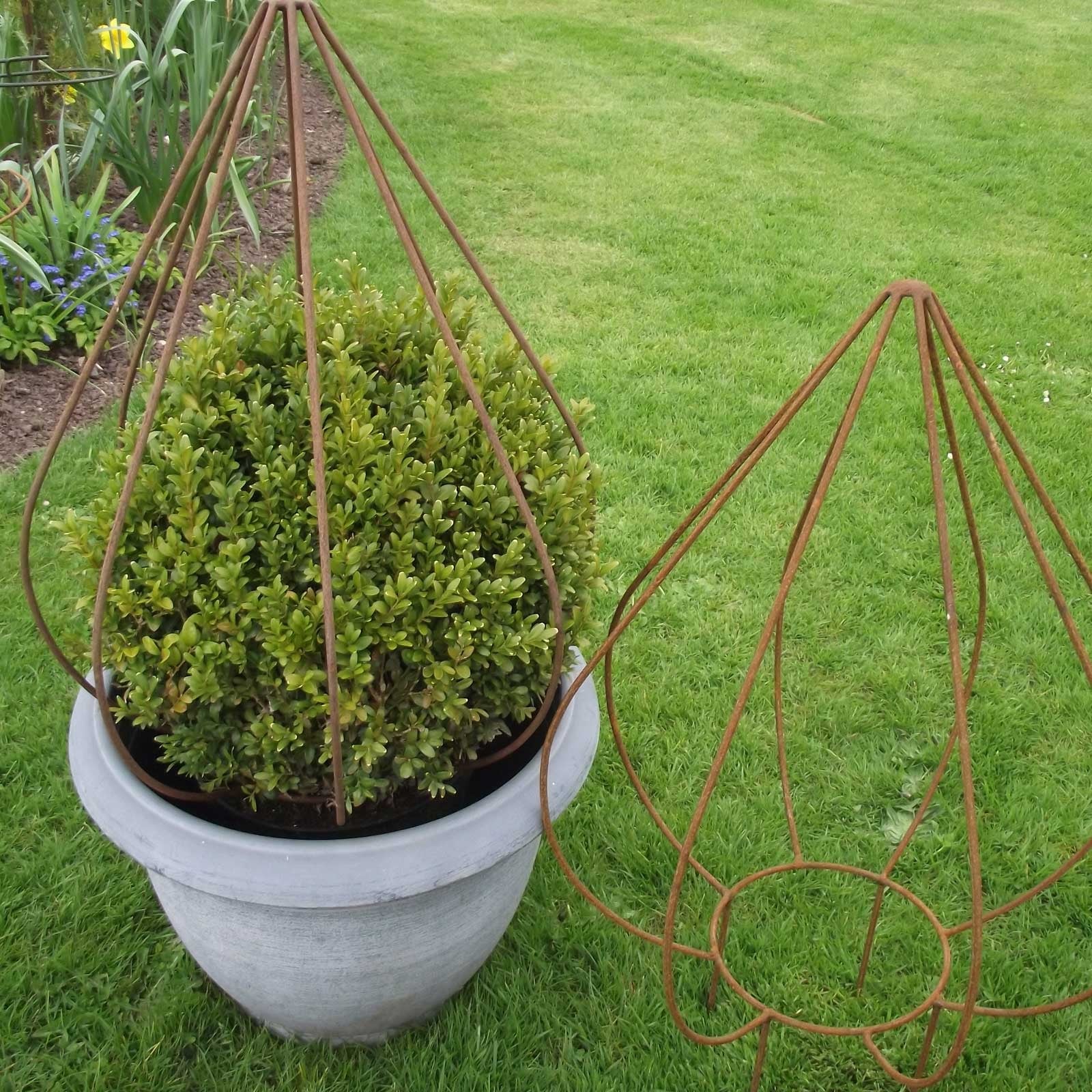 Bud Plant Support (Rustic finish) Harrod Horticultural