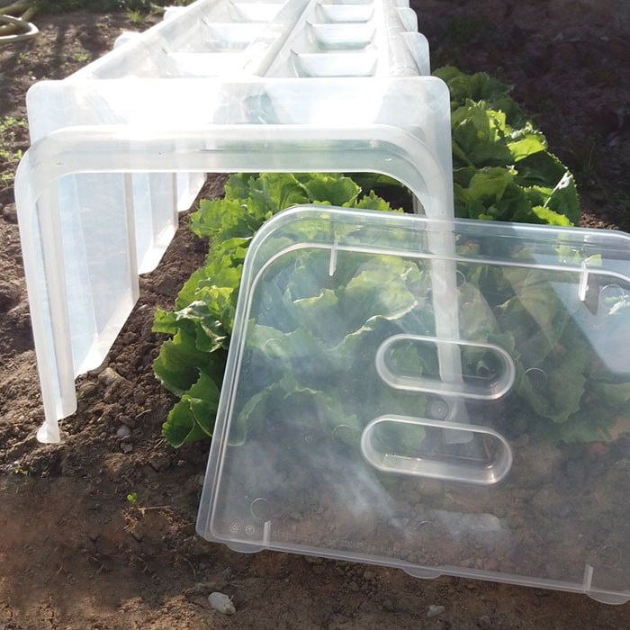 Mini Greenhouse Cloche Tunnels Harrod Horticultural (UK)