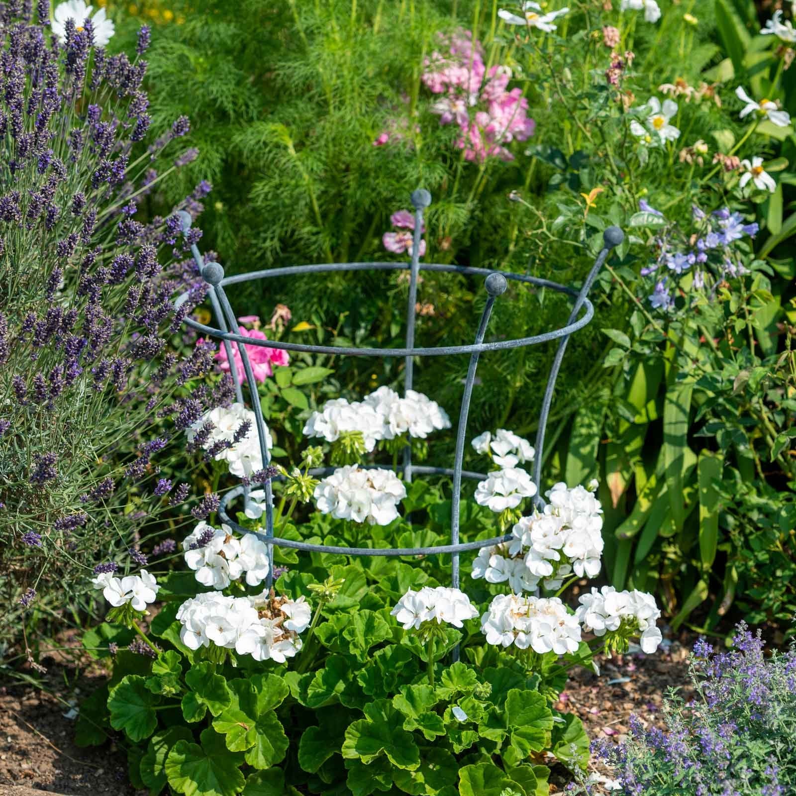Southwold Trumpet Peony Plant Support