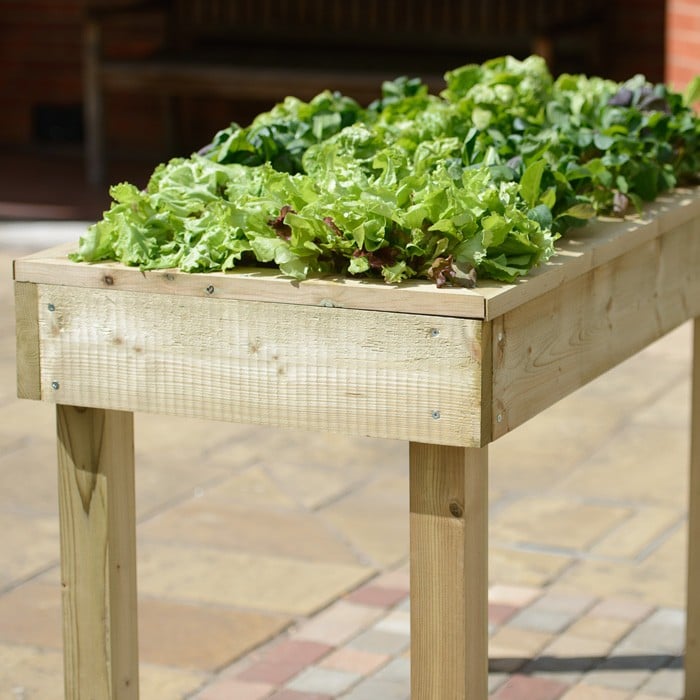 Standard Wooden Raised Bed Tables Raised Bed Gardening Harrod