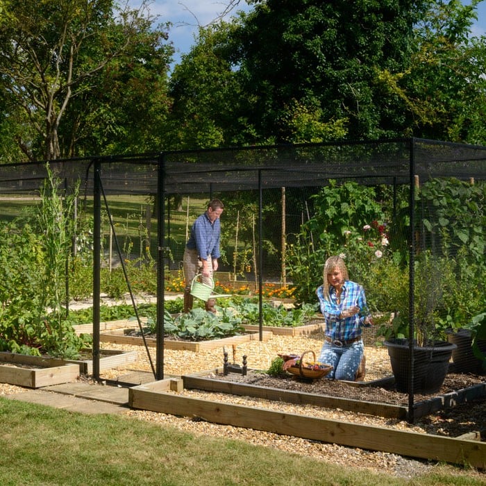 Steel Fruit Cages Harrod Horticultural