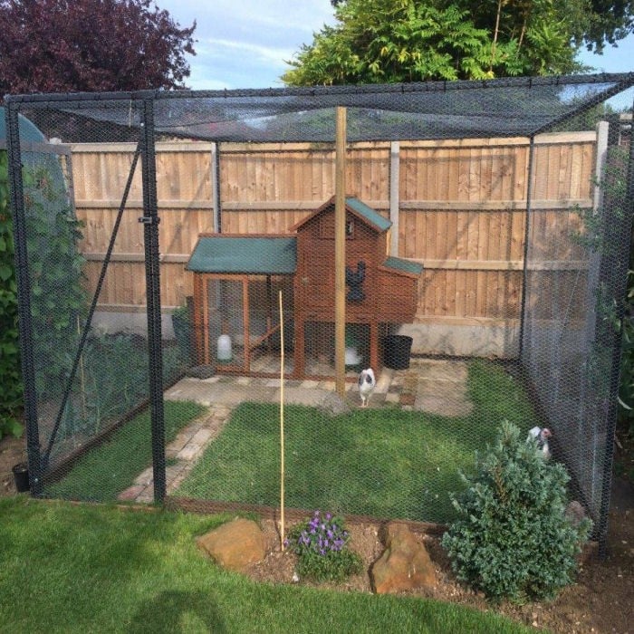 Steel Chicken Cages & Poultry Cages Harrod Horticultural
