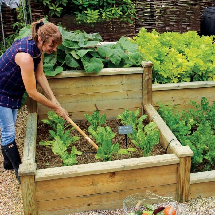Superior Wooden Raised Beds Harrod Horticultural