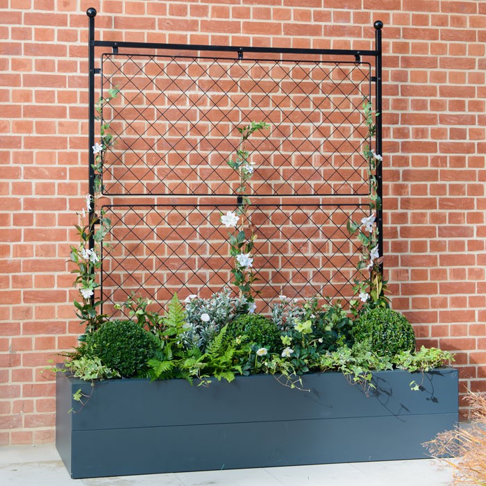 Bush Reeds Bush Pole Frame Harrod Trellis Growing Frame - Harrod Horticultural