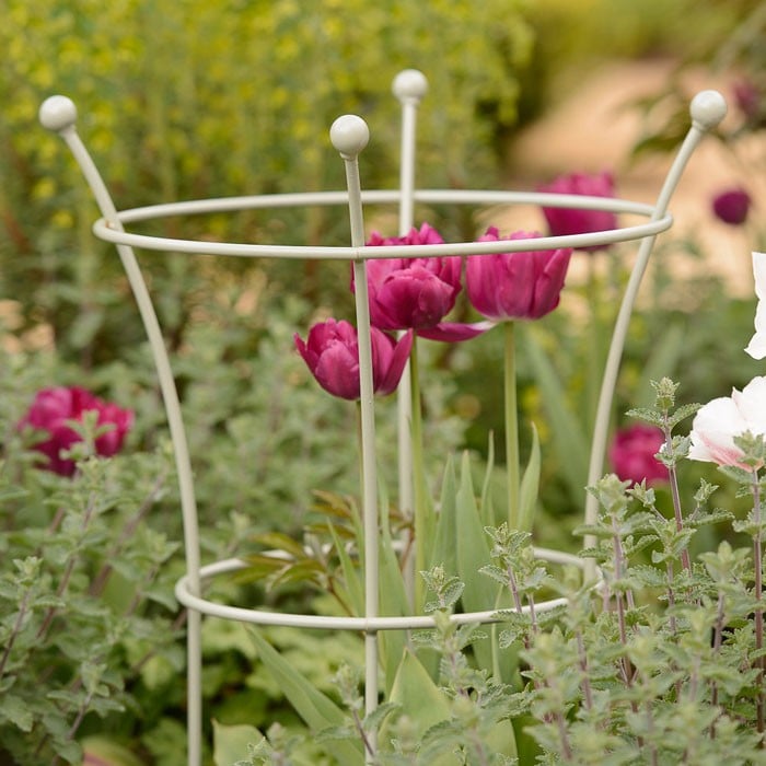 Peony Plant Supports Lichen Green Harrod Horticultural