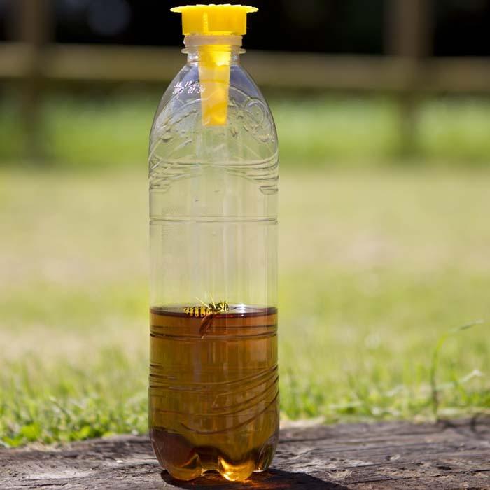Bottle Top Wasp Traps Harrod Horticultural