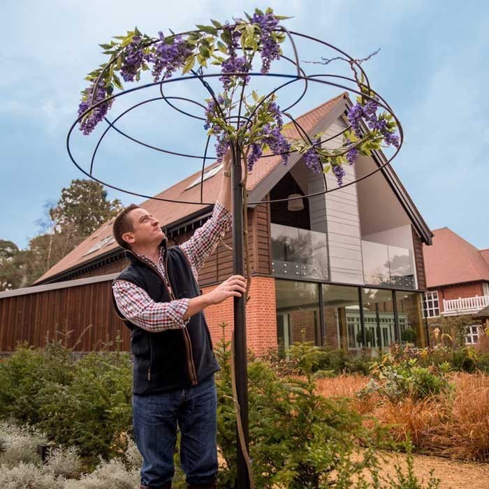 Wisteria Umbrella 4_large_4_large
